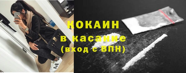 мяу мяу мука Белокуриха