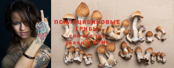 MDMA Беломорск