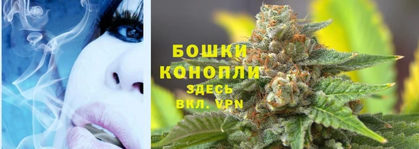 мяу мяу мука Белокуриха