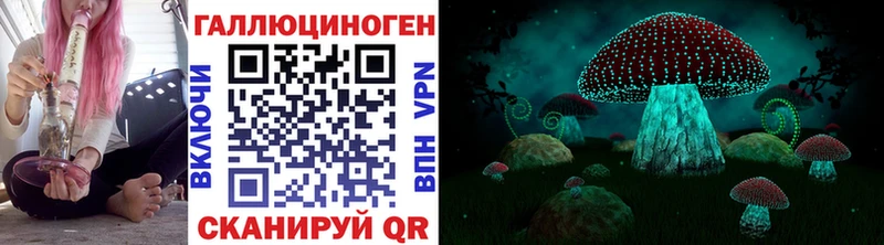 Галлюциногенные грибы мицелий  Глазов 
